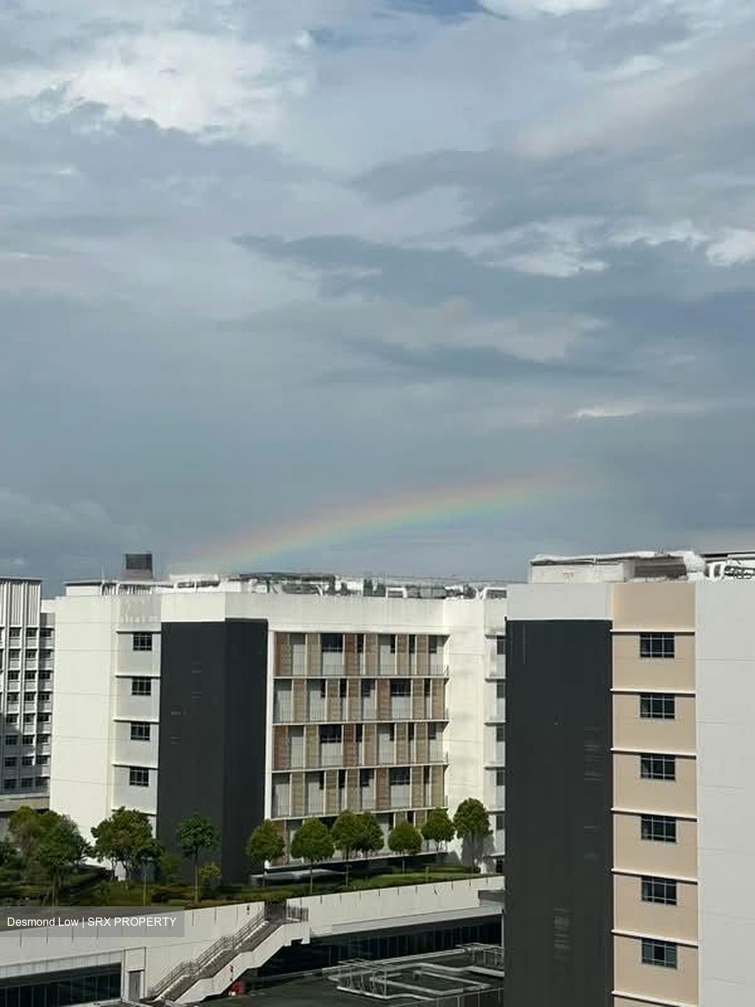 The Vales (D19), Condominium #561499491